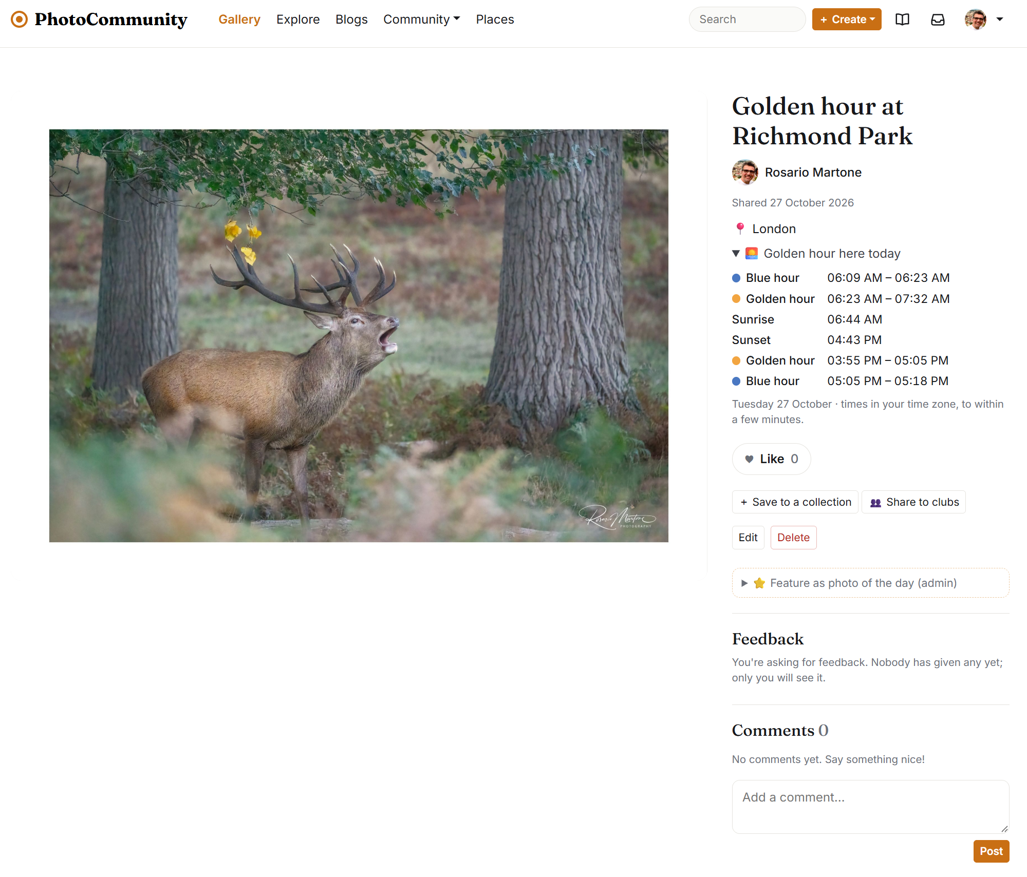 A photo page: camera details, tags, likes and comments